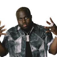 DJ Flex